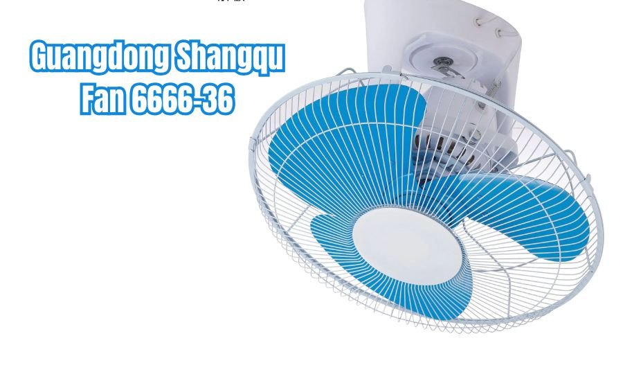 Guangdong Shangqu Fan 6666-36